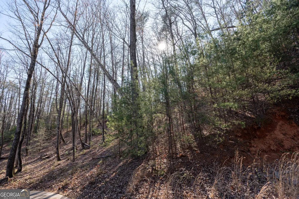 LOT 5 AND LOT 6 Chimney Mountain RD Sautee Nacoochee, GA 30571