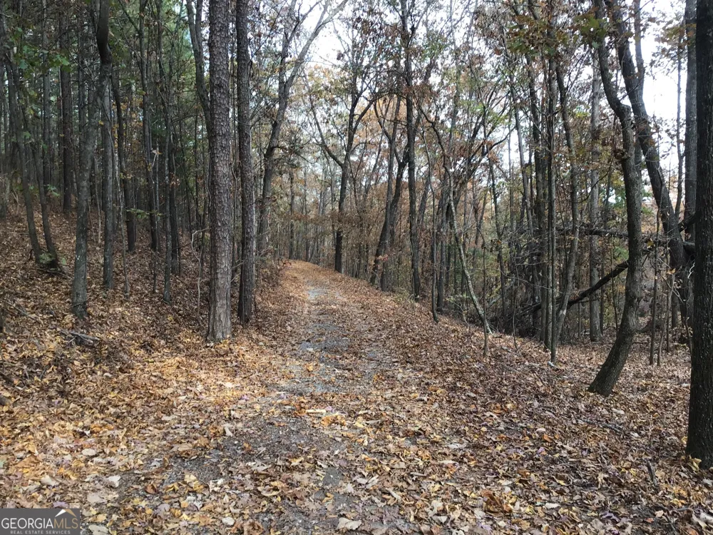 0 Lake Margarete RD Adairsville, GA 30103