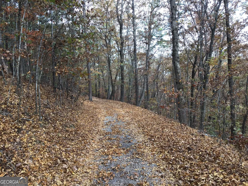 0 Lake Margarete RD Adairsville, GA 30103