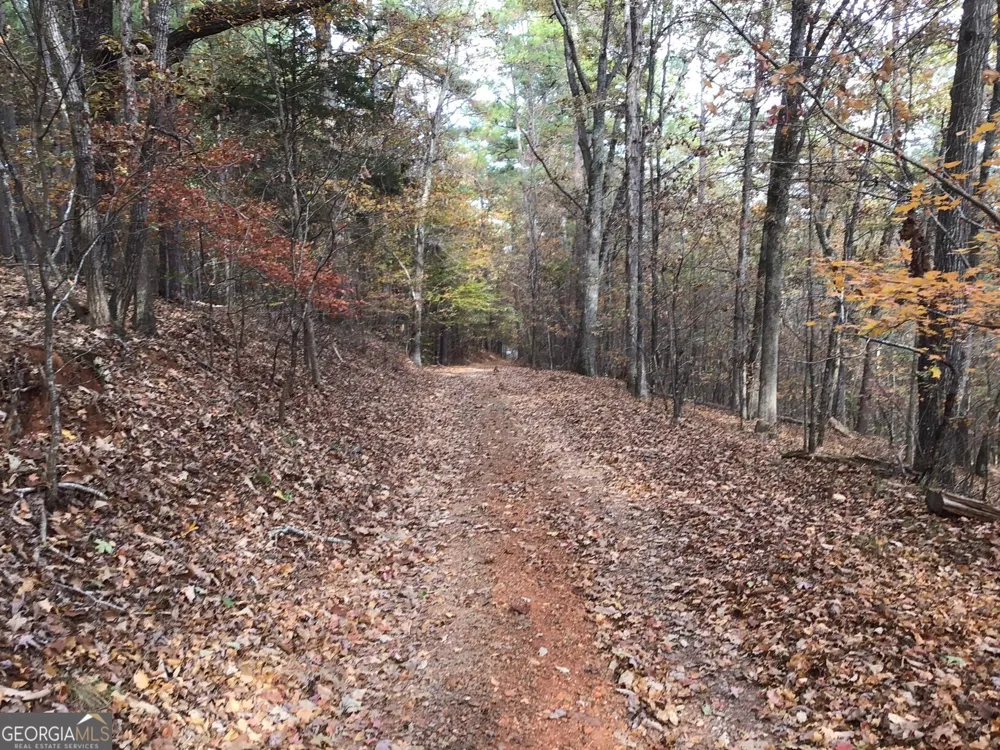 0 Lake Margarete RD Adairsville, GA 30103