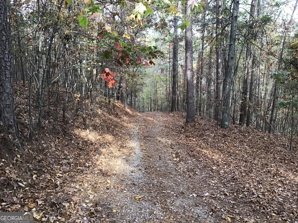 0 Lake Margarete RD Adairsville, GA 30103