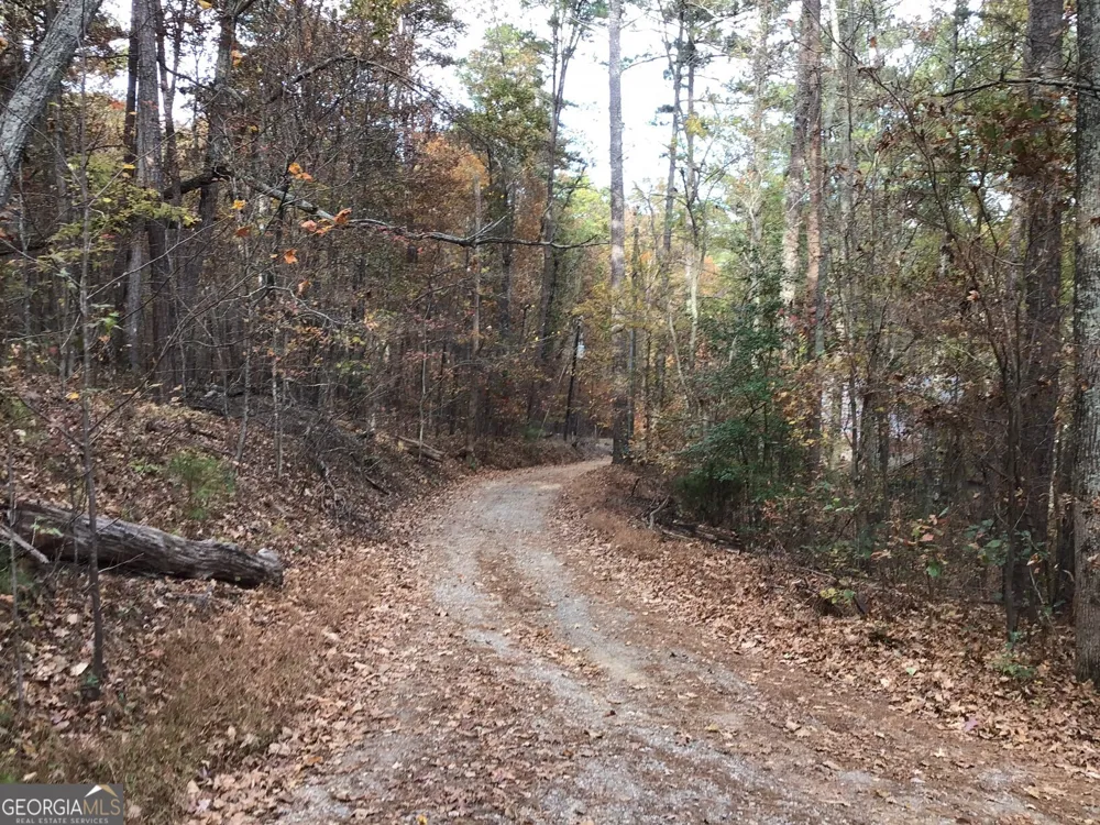 0 Lake Margarete RD Adairsville, GA 30103
