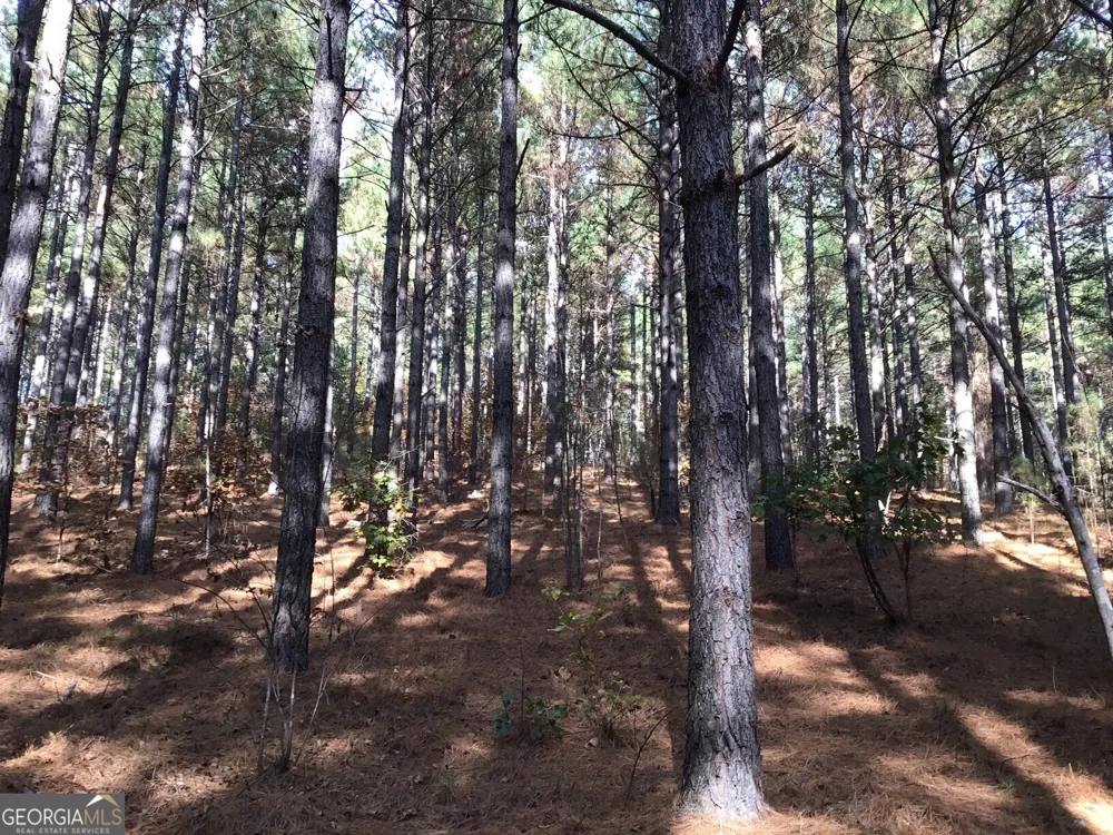 0 Lake Margarete RD Adairsville, GA 30103
