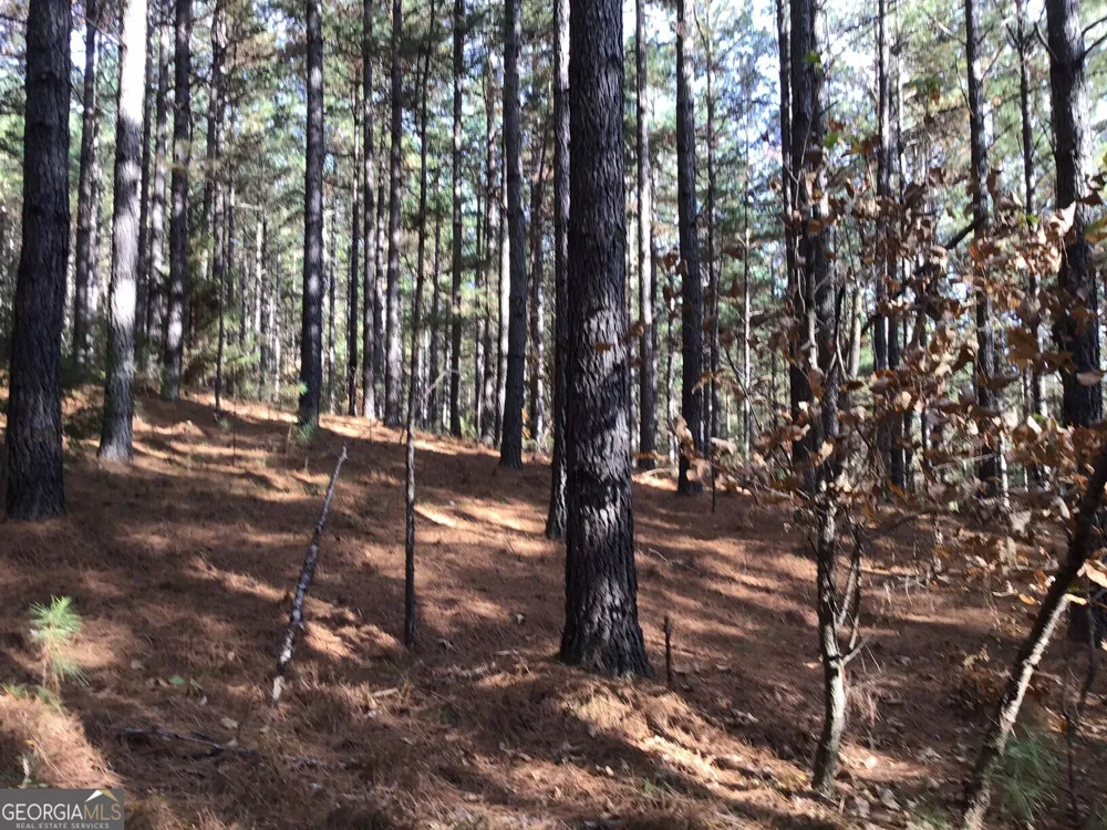0 Lake Margarete RD Adairsville, GA 30103
