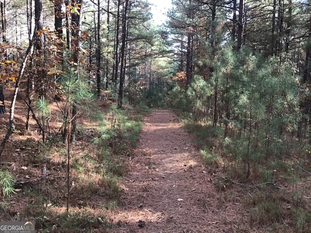 0 Lake Margarete RD Adairsville, GA 30103