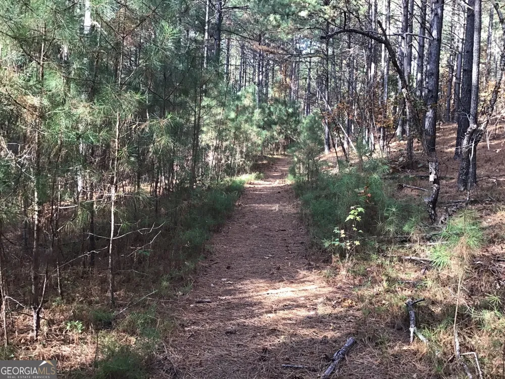 0 Lake Margarete RD Adairsville, GA 30103