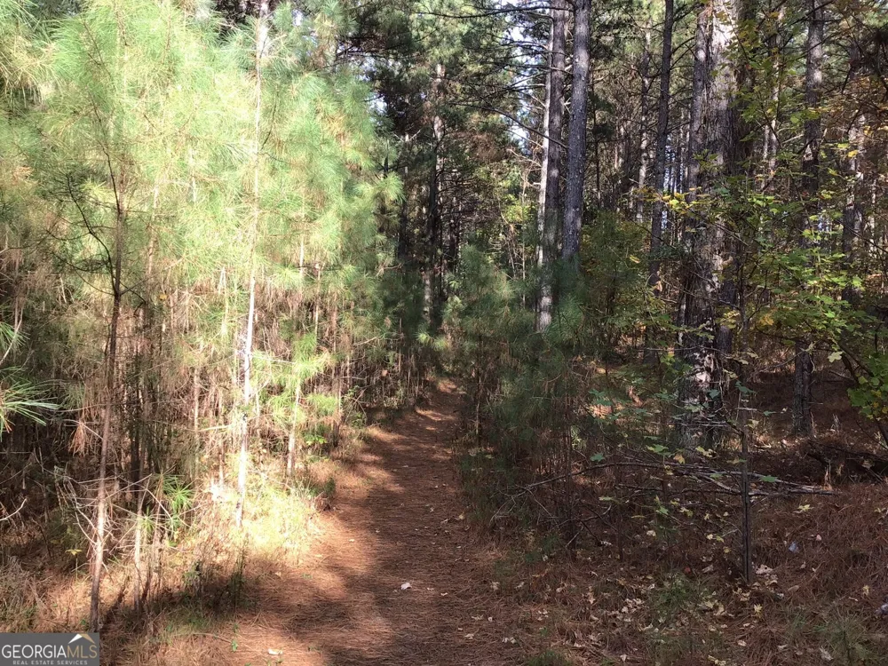 0 Lake Margarete RD Adairsville, GA 30103