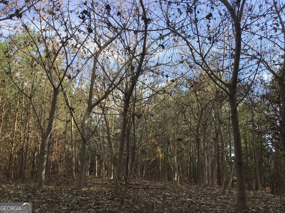 0 Lake Margarete RD Adairsville, GA 30103