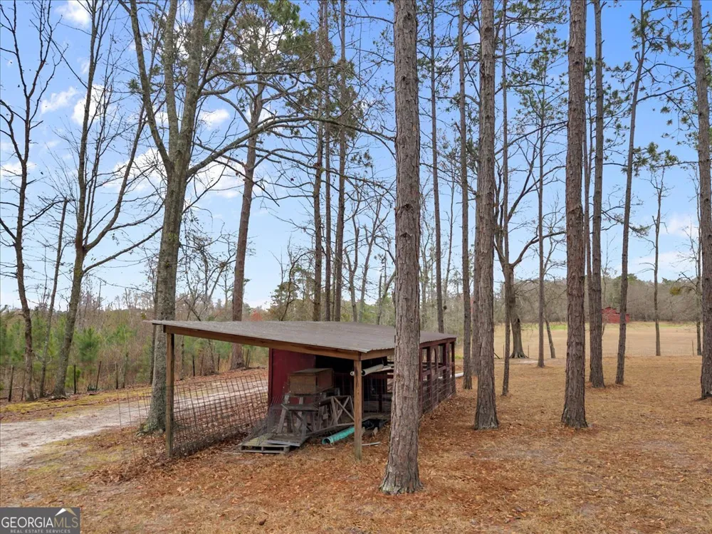 3591 Milan Eastman RD Milan, GA 31060