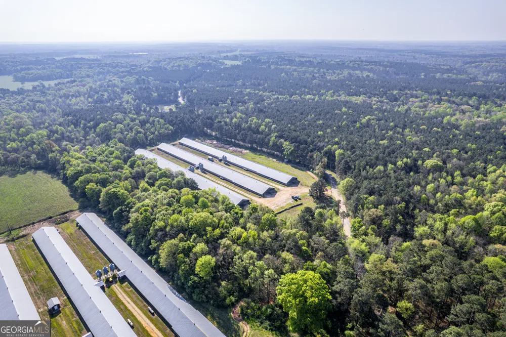 125 Walker Gresham RD Stephens, GA 30667