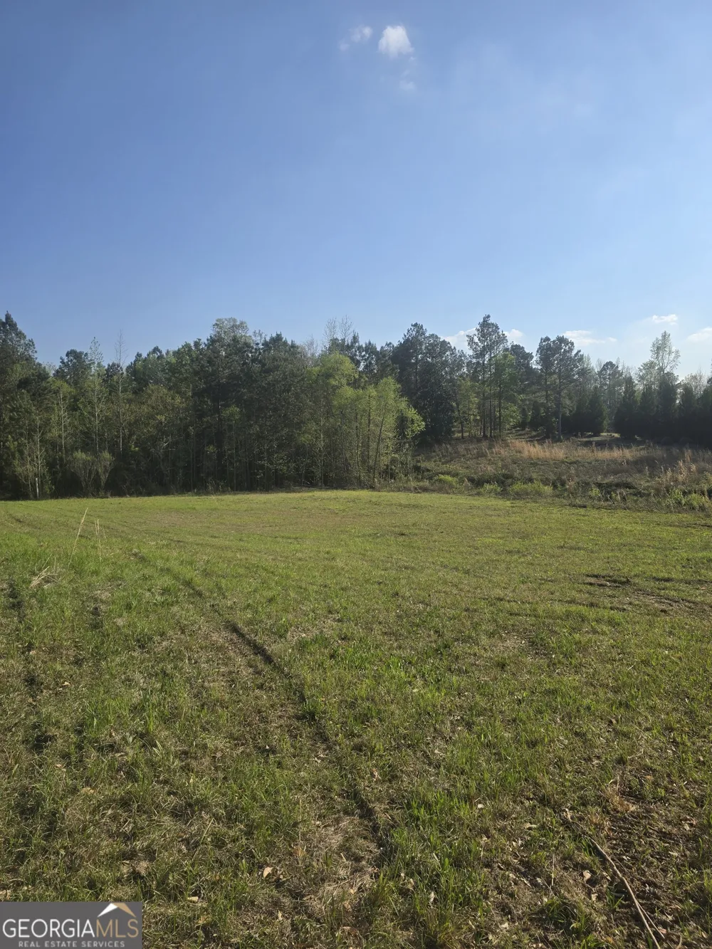 2336 Grand Harbour DR Lizella, GA 31052