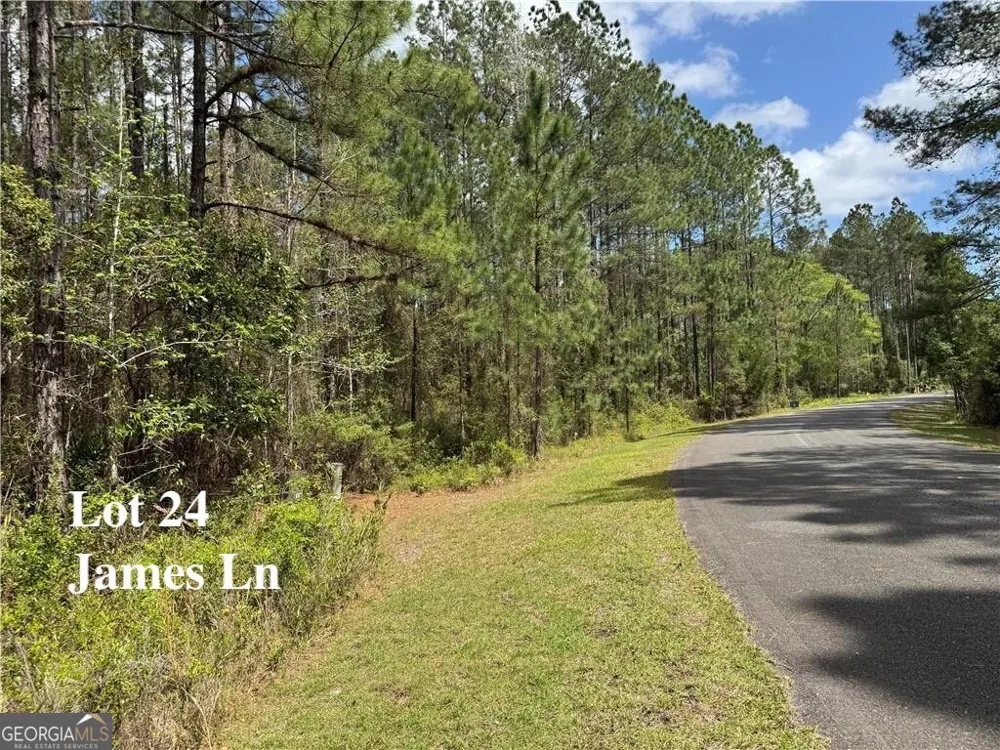 LOT 24 James LN White Oak, GA 31568