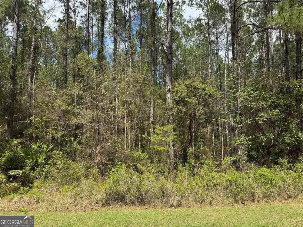 LOT 24 James LN White Oak, GA 31568
