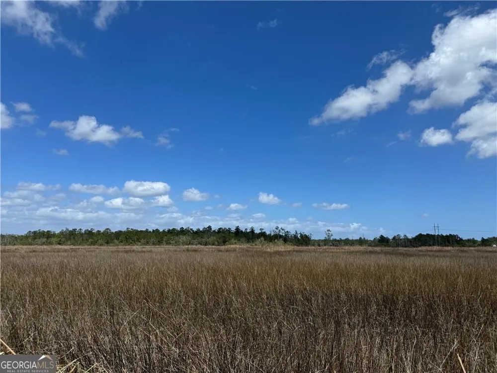 LOT 24 James LN White Oak, GA 31568