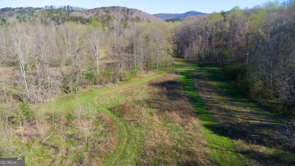 9031 Steve Tate HWY Dawsonville, GA 30534