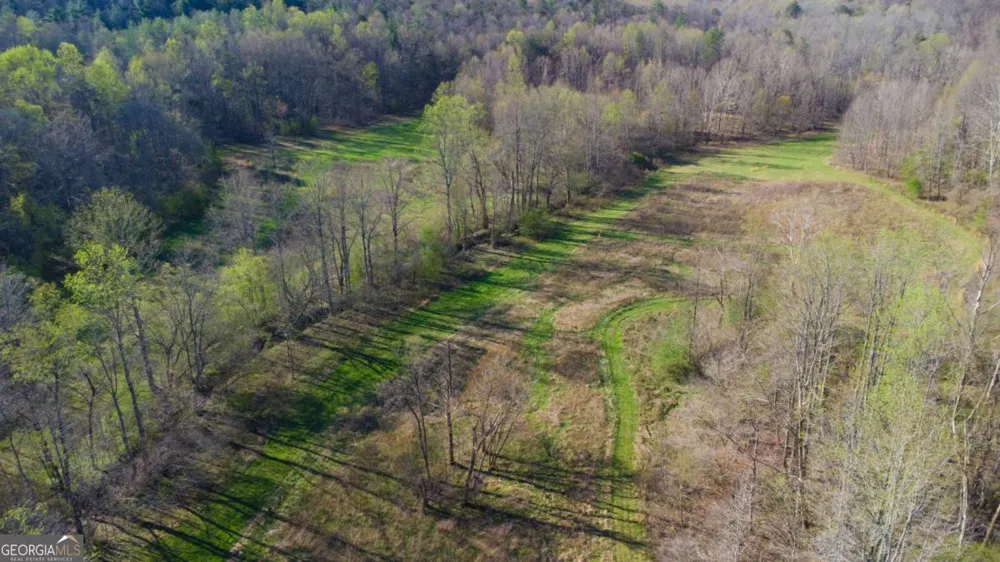 9031 Steve Tate HWY Dawsonville, GA 30534