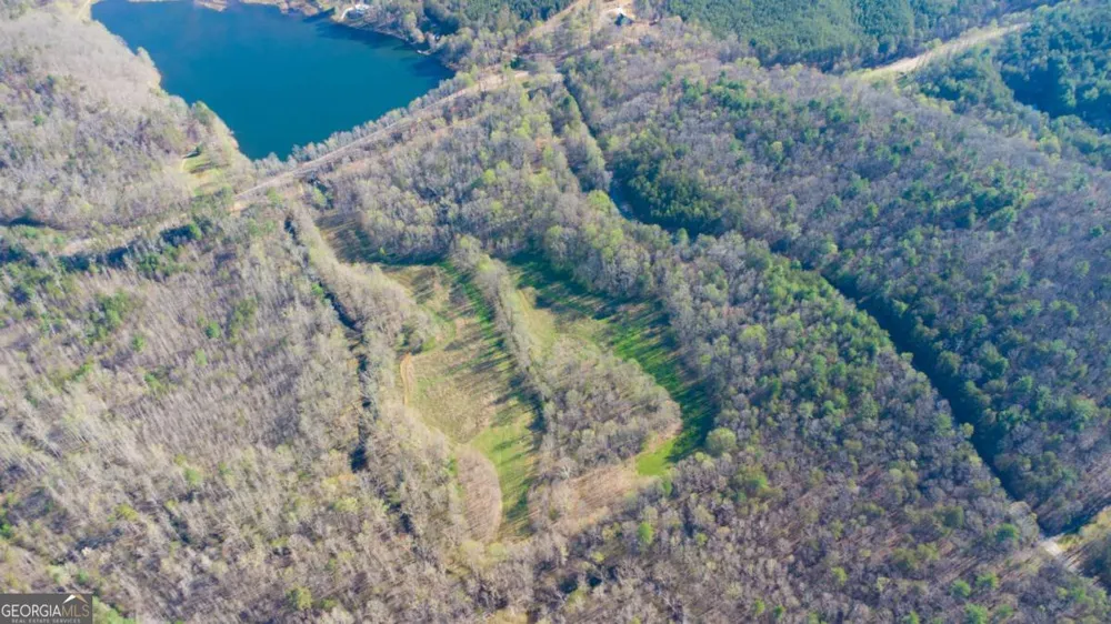 9031 Steve Tate HWY Dawsonville, GA 30534