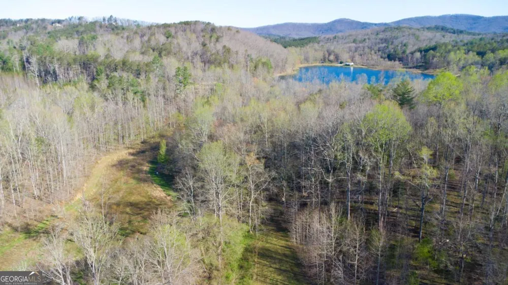 9031 Steve Tate HWY Dawsonville, GA 30534