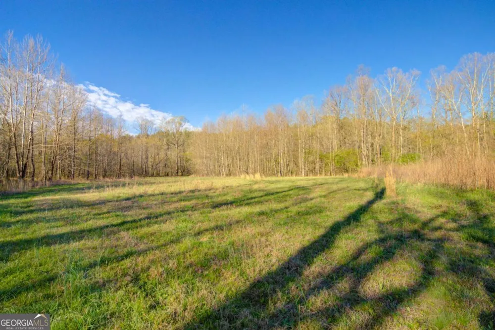 9031 Steve Tate HWY Dawsonville, GA 30534