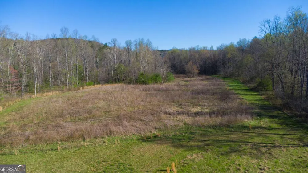 9031 Steve Tate HWY Dawsonville, GA 30534