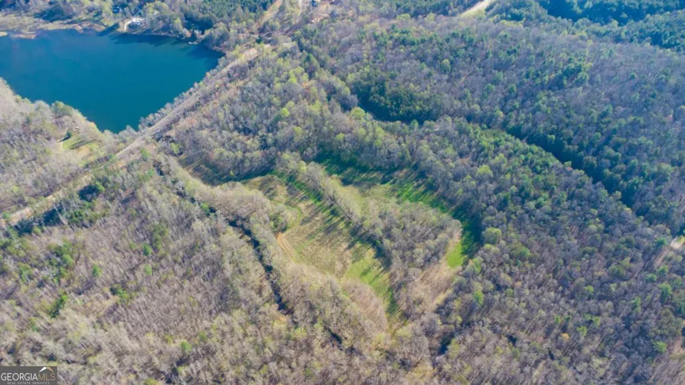 9031 Steve Tate HWY Dawsonville, GA 30534