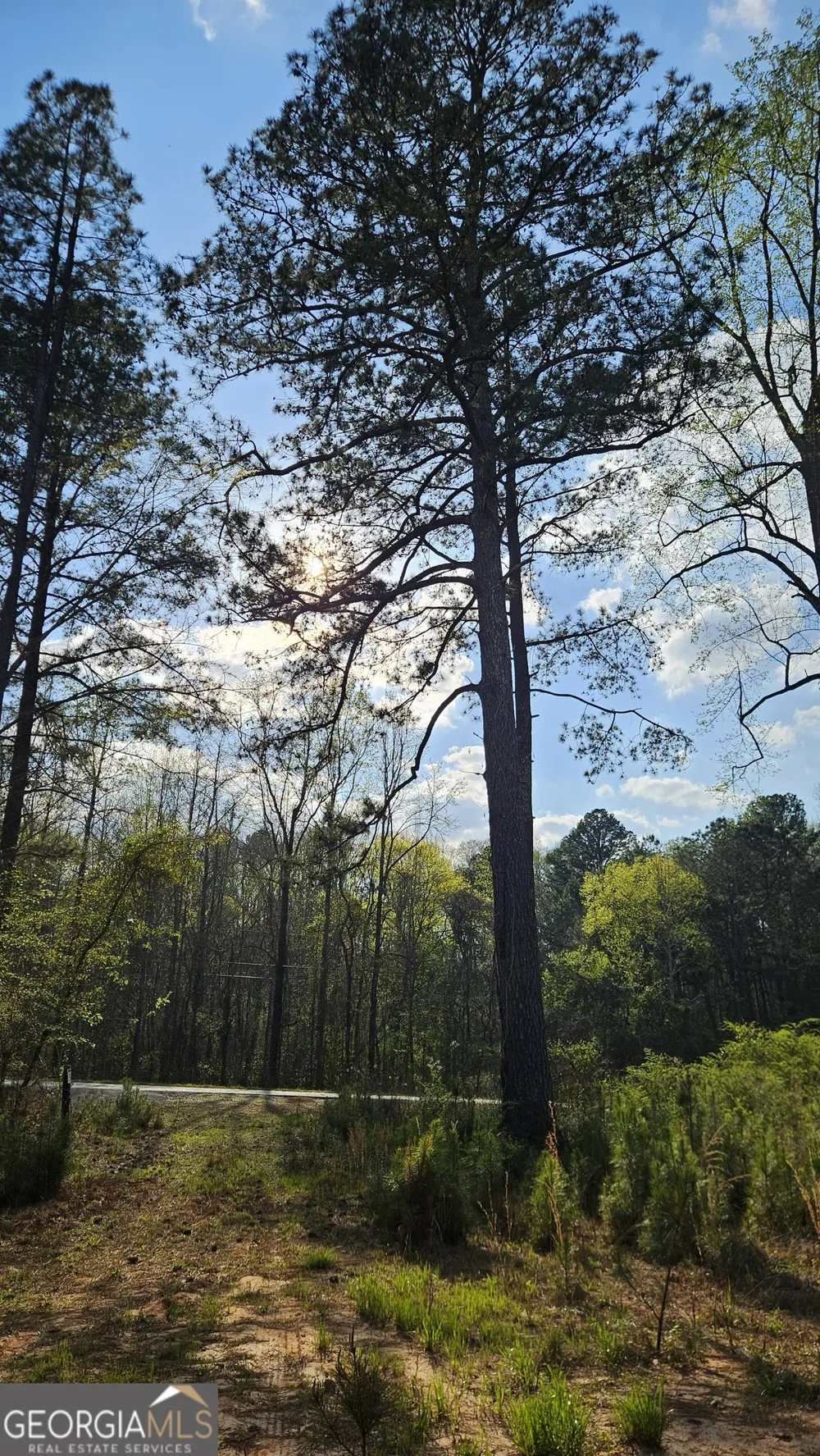 0 Hwy 15 Greensboro, GA 30642