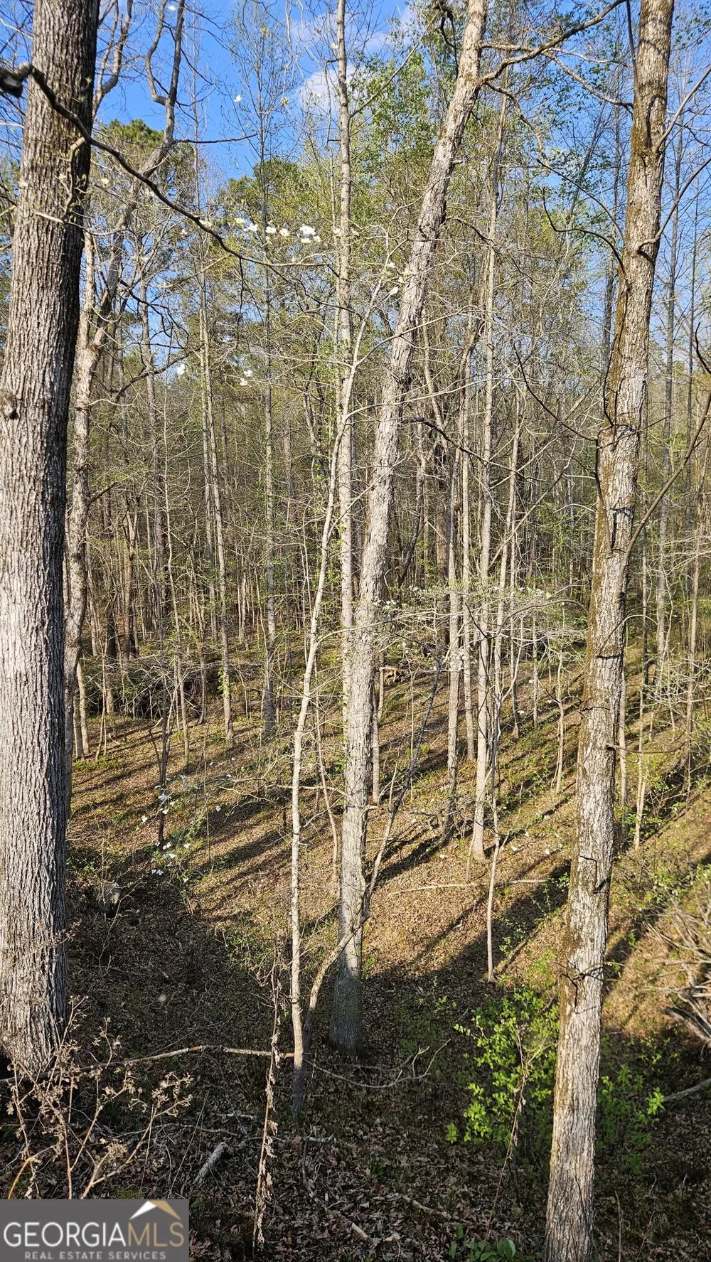 0 Hwy 15 Greensboro, GA 30642