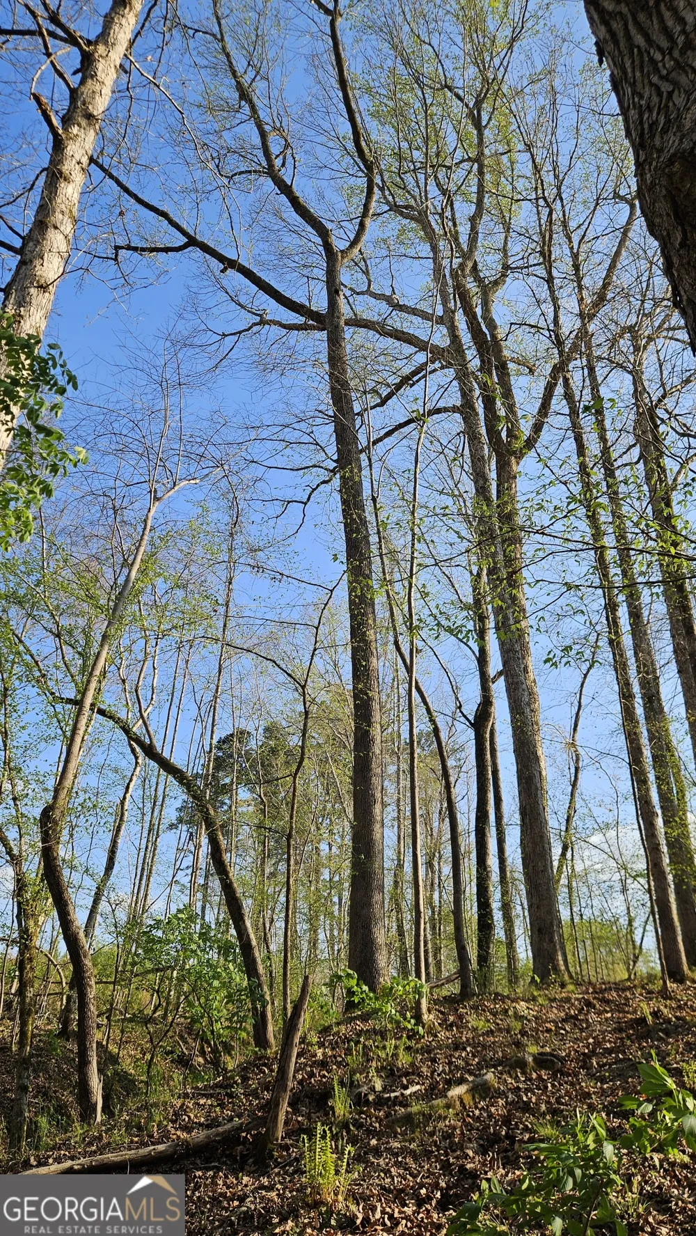 0 Hwy 15 Greensboro, GA 30642