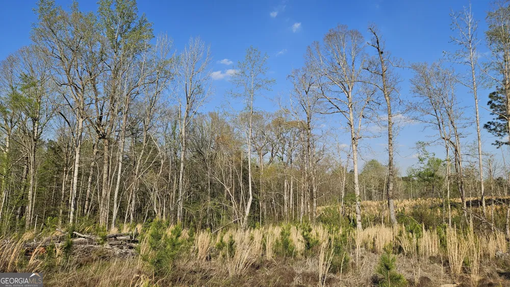 0 Hwy 15 Greensboro, GA 30642