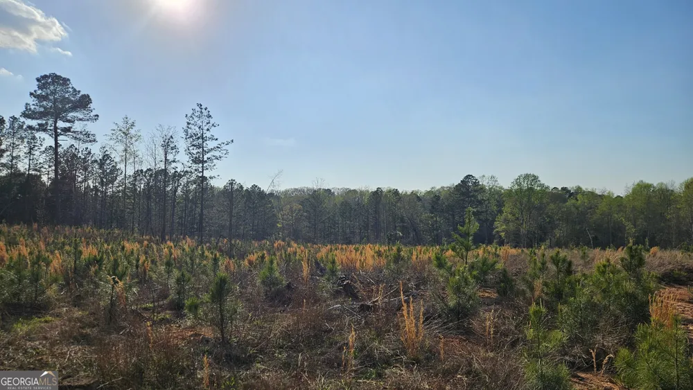 0 Hwy 15 Greensboro, GA 30642
