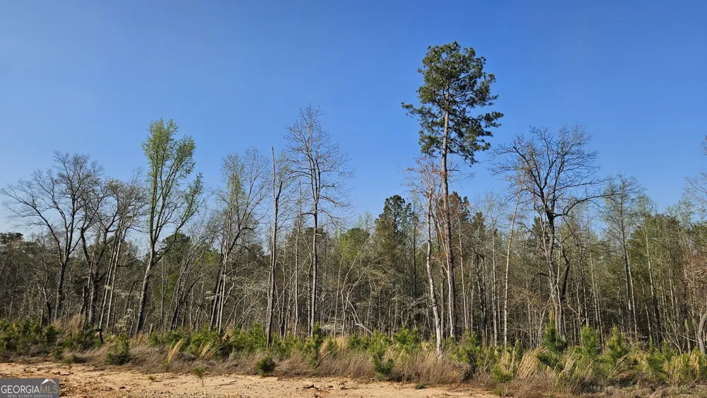 0 Hwy 15 Greensboro, GA 30642