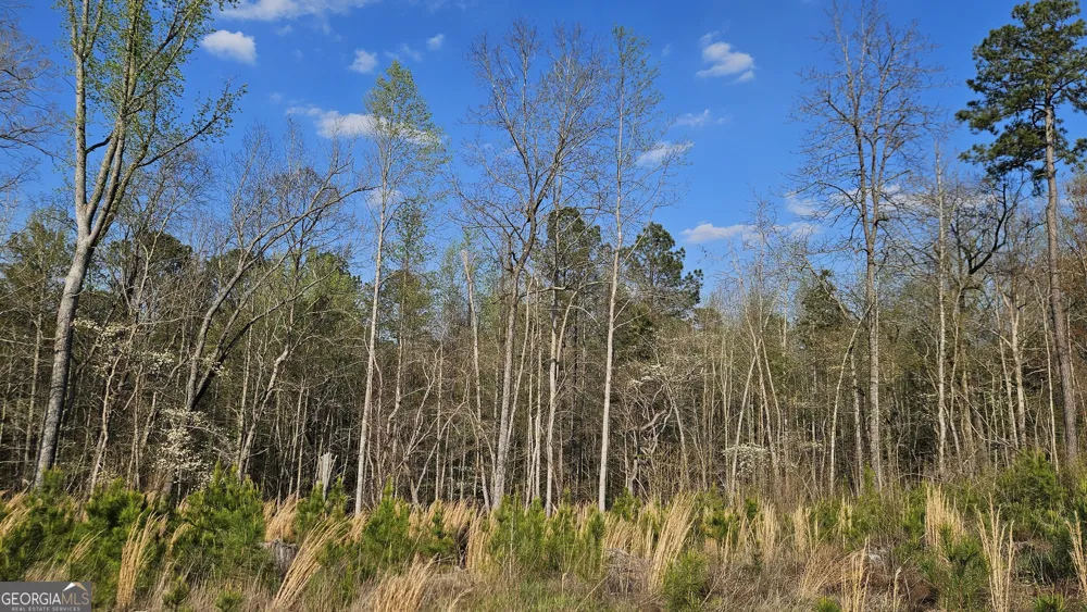 0 Hwy 15 Greensboro, GA 30642