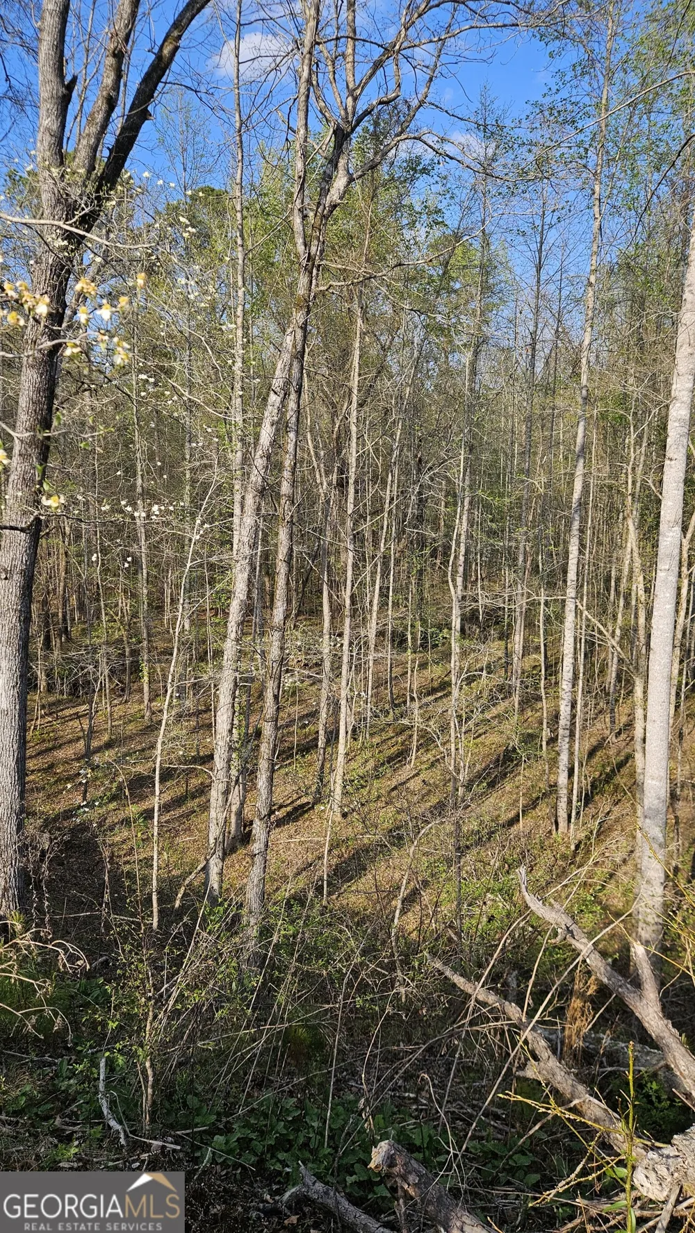 0 Hwy 15 Greensboro, GA 30642