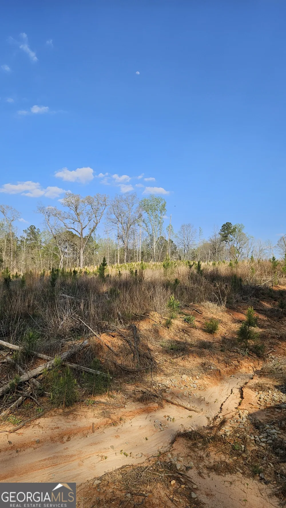 0 Hwy 15 Greensboro, GA 30642