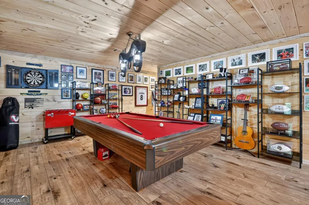 2587 Goose Island RD Cherry Log, GA 30522