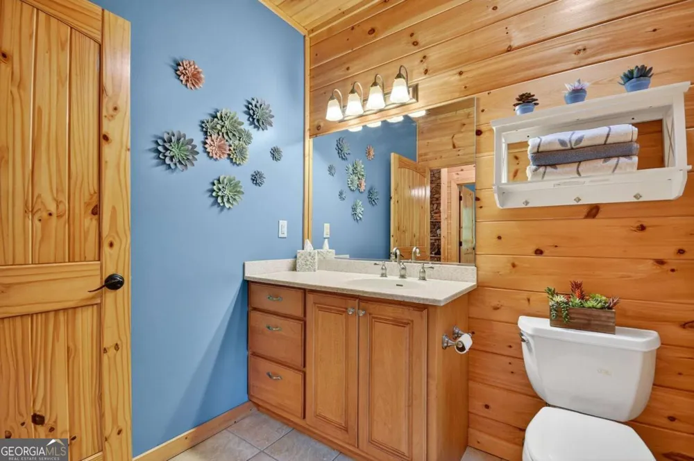 2587 Goose Island RD Cherry Log, GA 30522