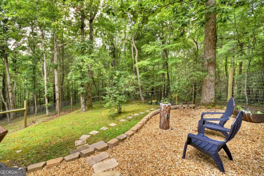 2587 Goose Island RD Cherry Log, GA 30522