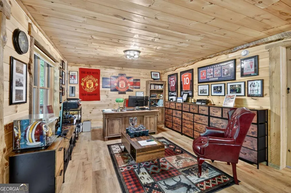 2587 Goose Island RD Cherry Log, GA 30522