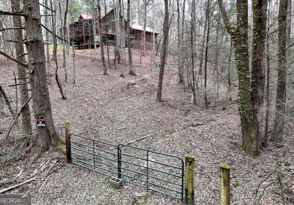 2587 Goose Island RD Cherry Log, GA 30522