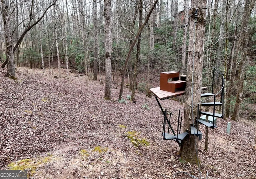 2587 Goose Island RD Cherry Log, GA 30522