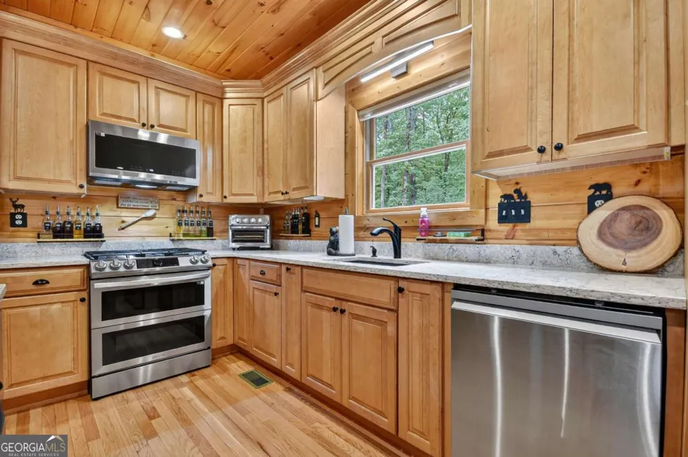 2587 Goose Island RD Cherry Log, GA 30522
