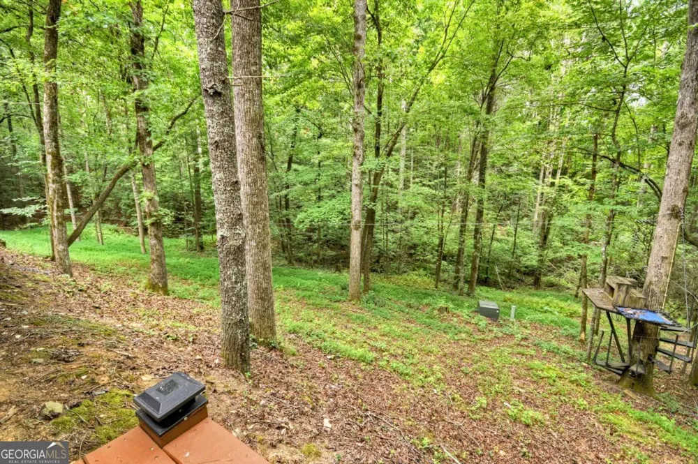 2587 Goose Island RD Cherry Log, GA 30522