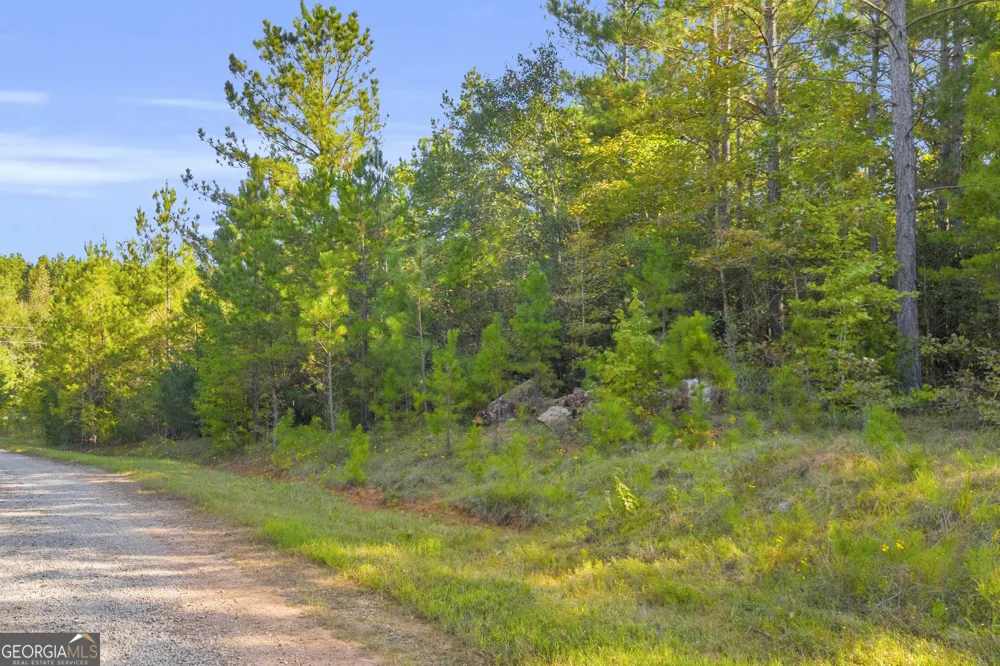 0 Long Pine LN Elberton, GA 30635