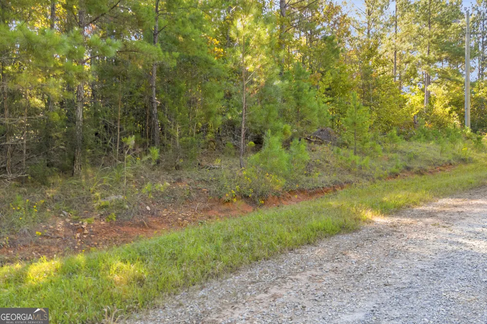0 Long Pine LN Elberton, GA 30635