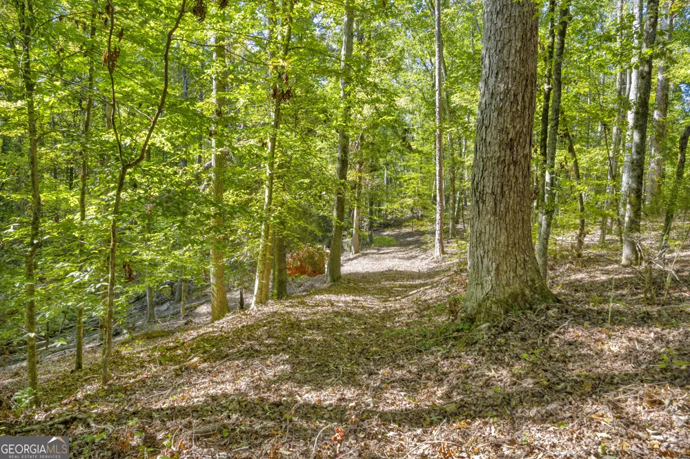 0 Long Pine LN Elberton, GA 30635
