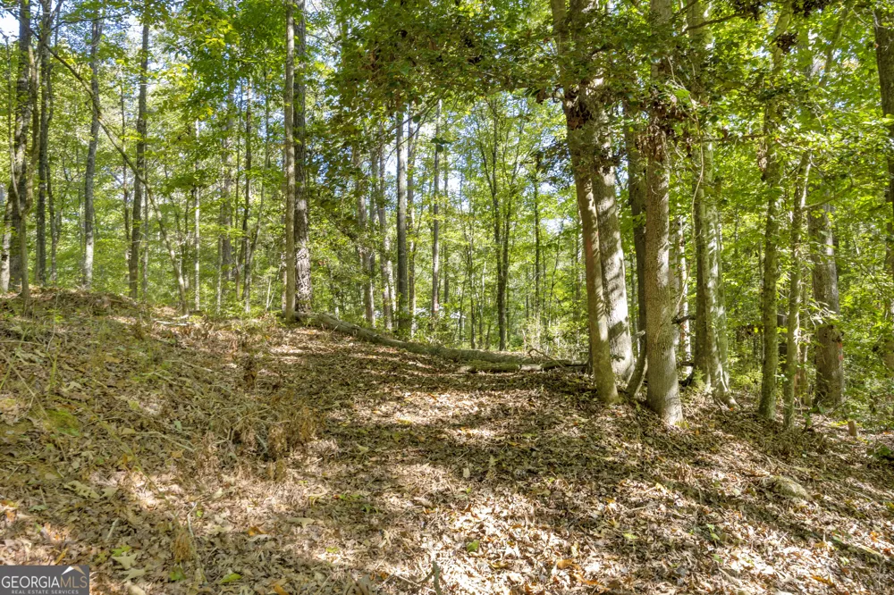0 Long Pine LN Elberton, GA 30635