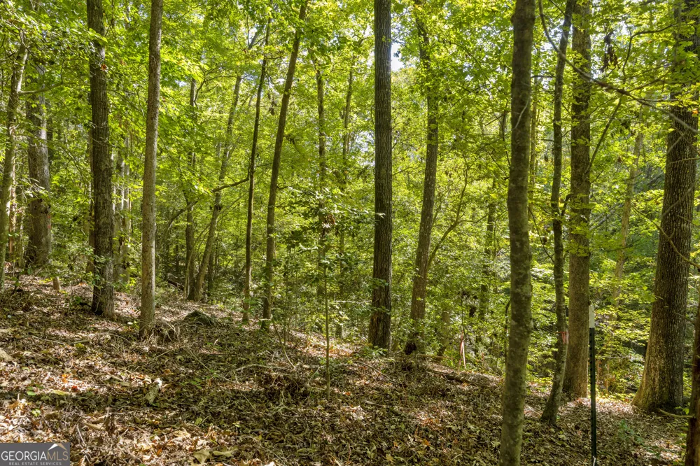 0 Long Pine LN Elberton, GA 30635