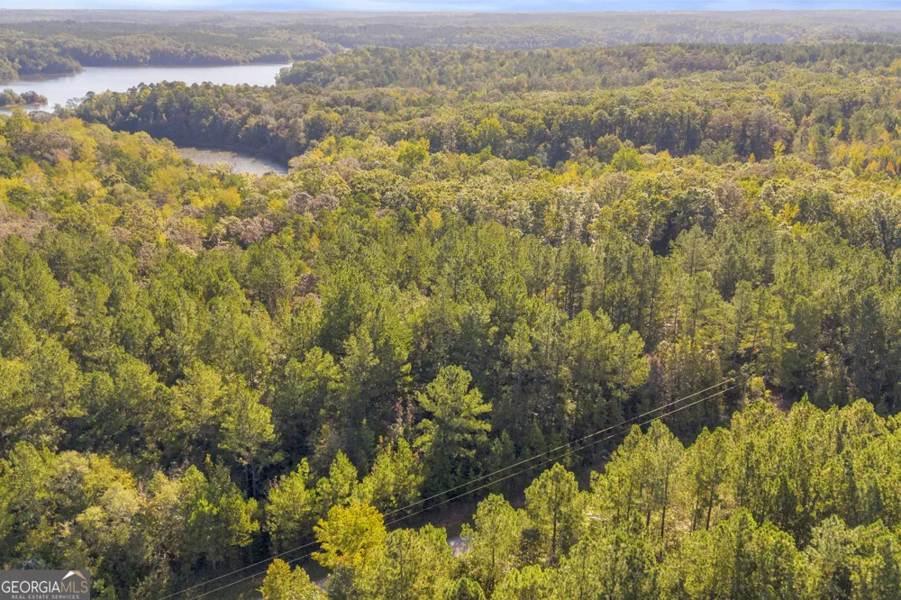 0 Long Pine LN Elberton, GA 30635
