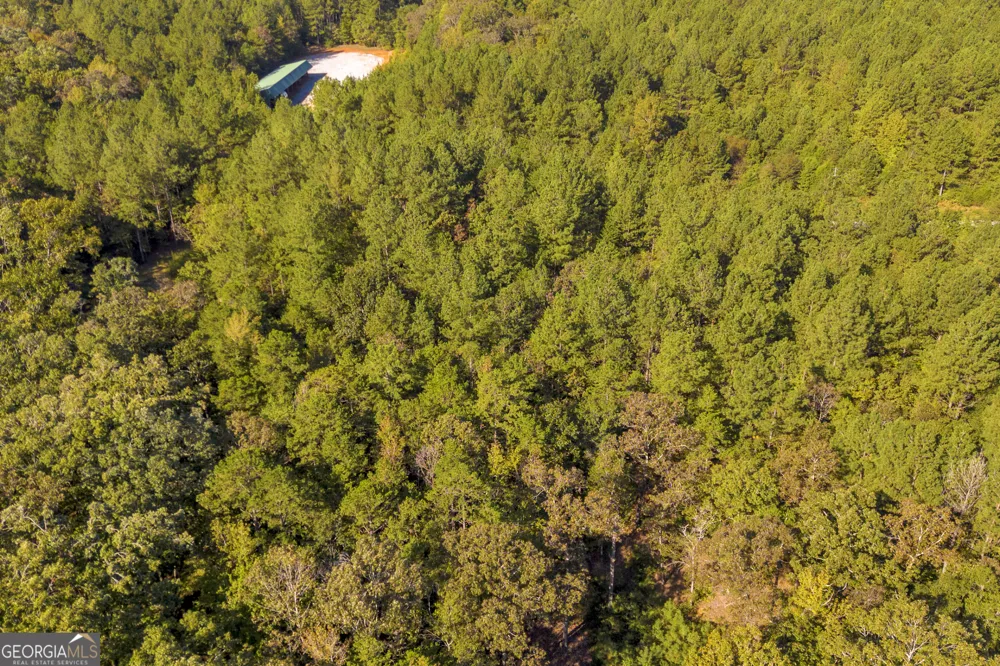 0 Long Pine LN Elberton, GA 30635