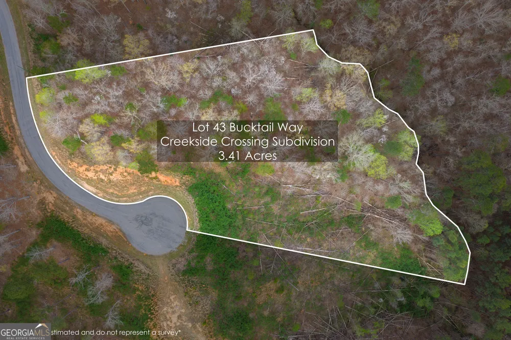 LOT 43 Bucktail WAY Talking Rock, GA 30175